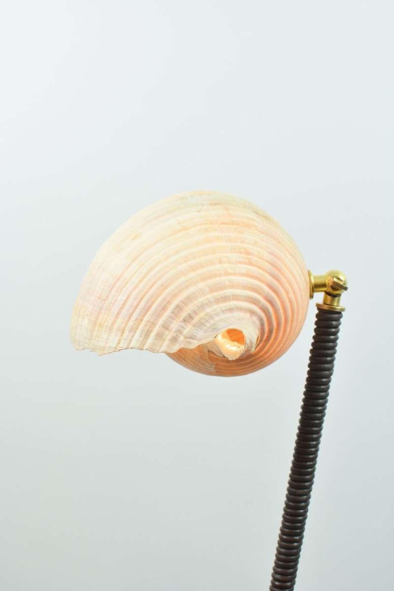 L’Escargot Table Lamp in Coiled Brown Leather with Natural Sea Snail Shade—Model No. 025B - Tennant New York