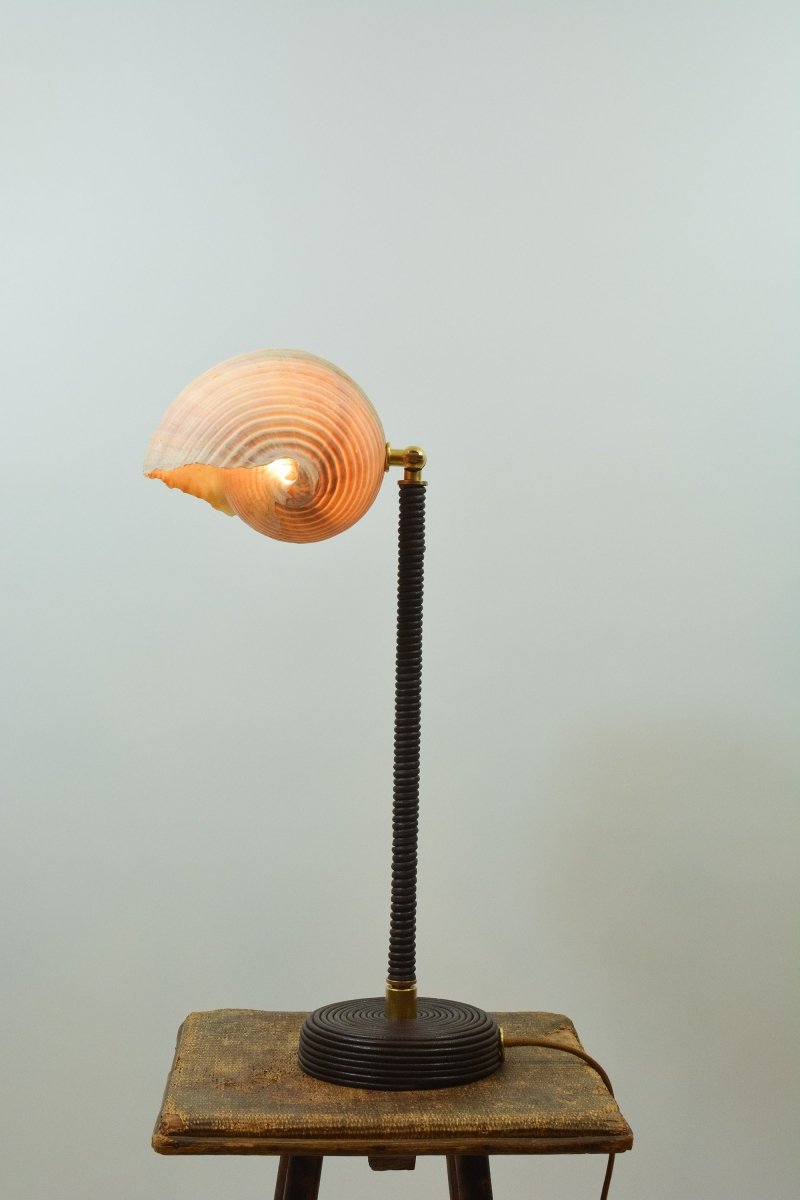 L’Escargot Table Lamp in Coiled Brown Leather with Natural Sea Snail Shade—Model No. 025B - Tennant New York