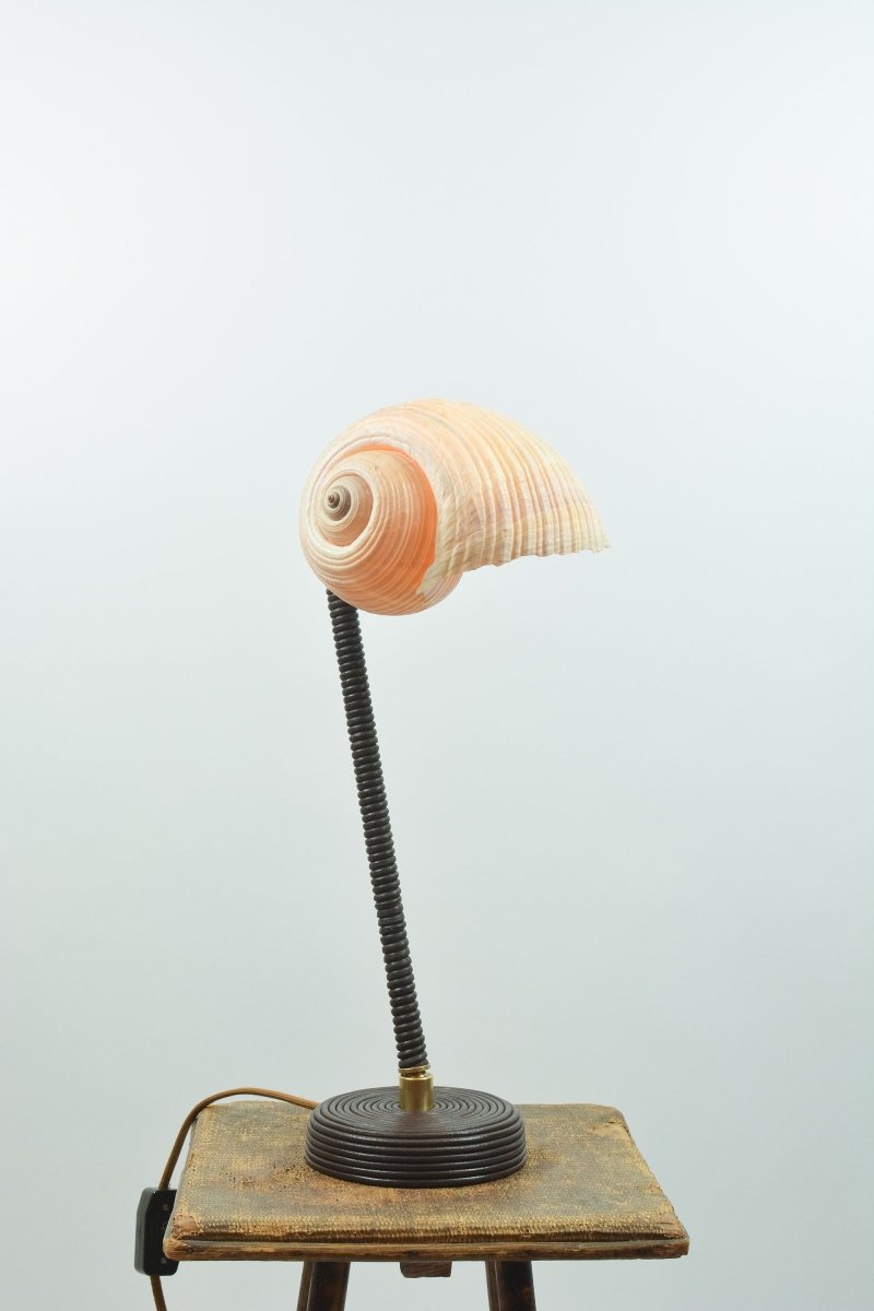 L’Escargot Table Lamp in Coiled Brown Leather with Natural Sea Snail Shade—Model No. 025B - Tennant New York