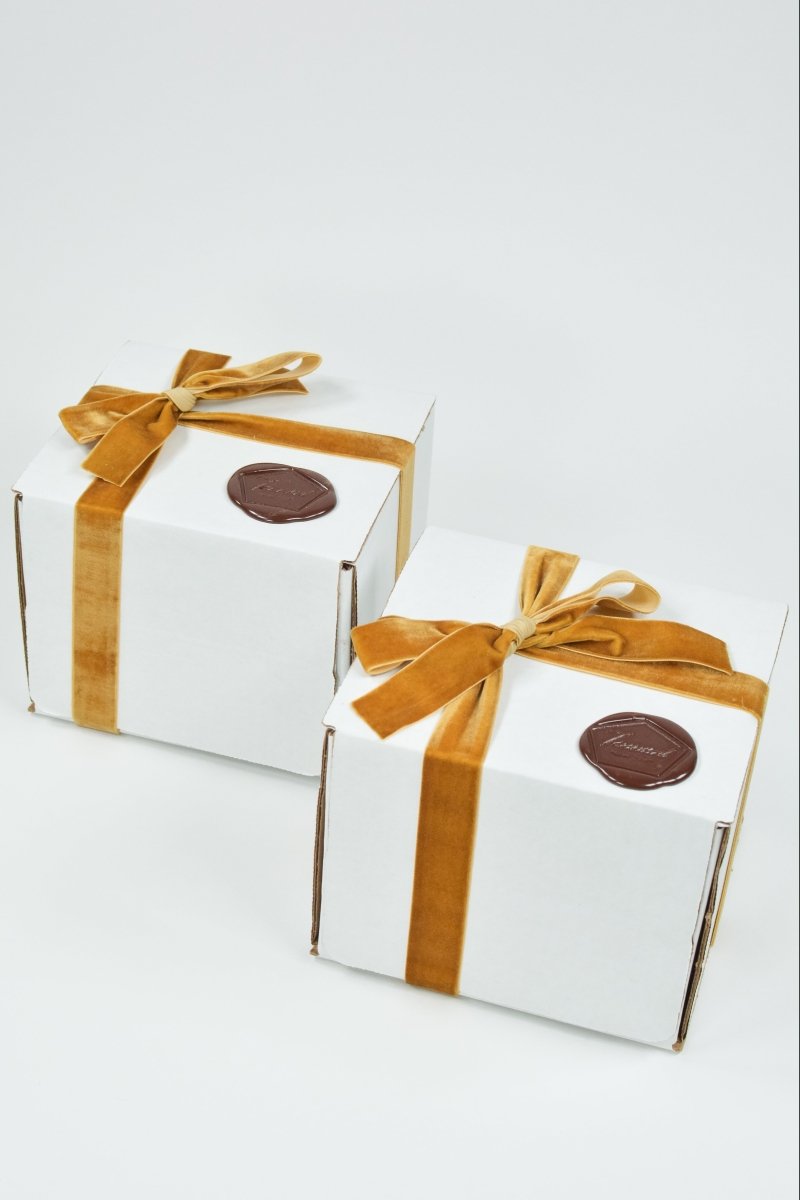 Limited - Edition L'Escargot Incense Vessel Gift Set in Vintage Italian Marble - Tennant New York