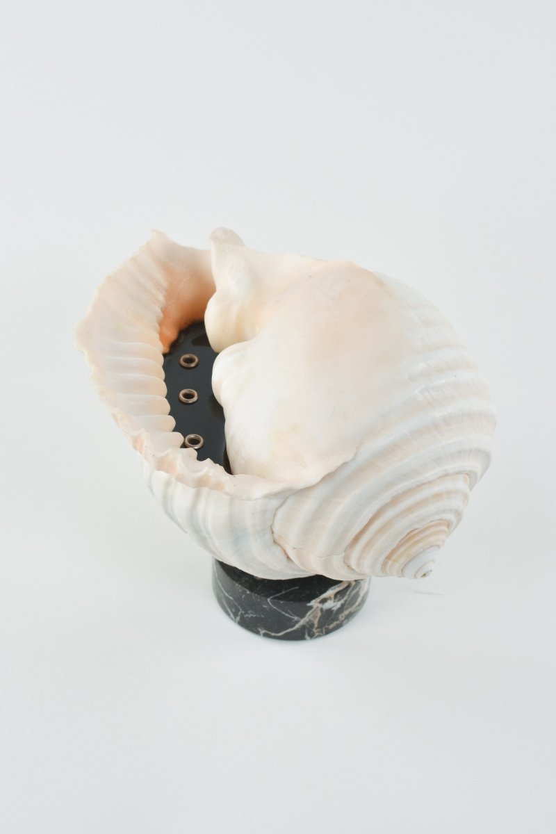 Limited - Edition L'Escargot Incense Vessel Gift Set in Vintage Italian Marble - Tennant New York