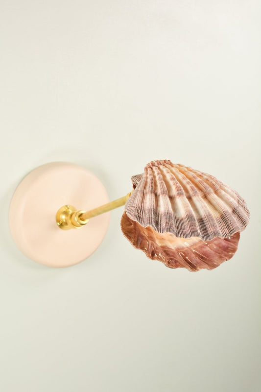 Off - White Lavender Lion's Paw Sconce with Scallop Shell Shade in Brass — Model No. 024A - Tennant New York