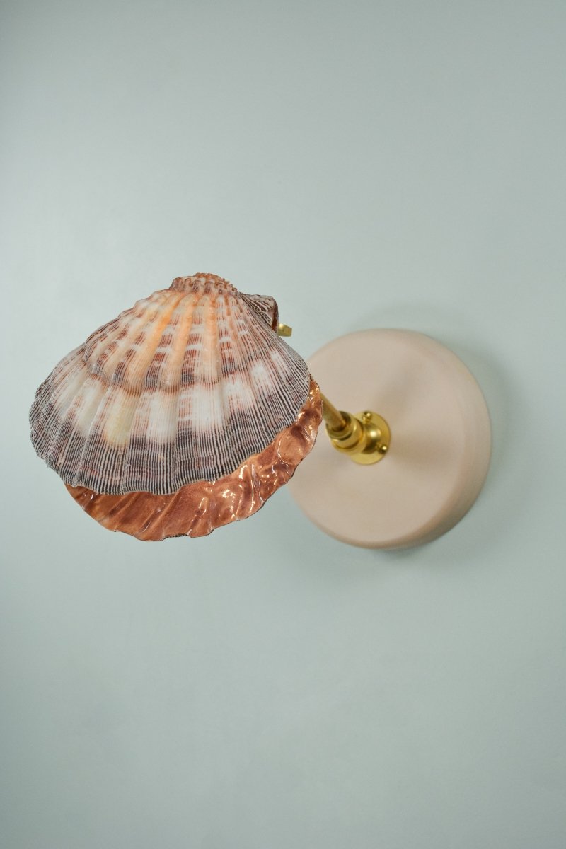 Off - White Lavender Lion's Paw Sconce with Scallop Shell Shade in Brass — Model No. 024A - Tennant New York