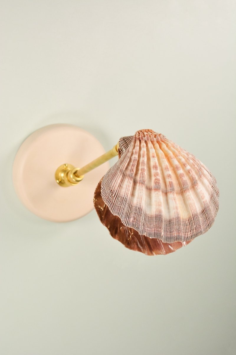 Off - White Lavender Lion's Paw Sconce with Scallop Shell Shade in Brass — Model No. 024A - Tennant New York
