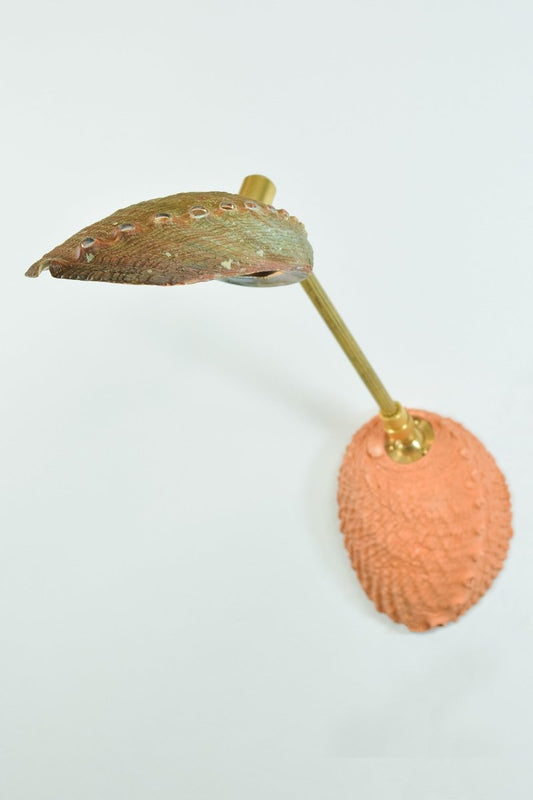 Ospedaletti II Reading Sconce in Fluted Brass with Natural Abalone Shell Shade — Model No. 028B - Tennant New York
