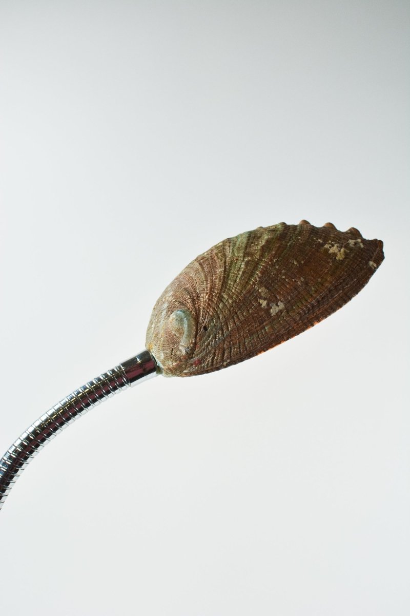 Strella Gooseneck Abalone Task Lamp with Glossy Green Base — Model No. 049A - Tennant New York