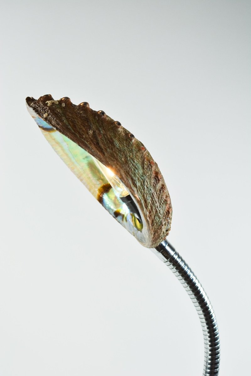 Strella Gooseneck Abalone Task Lamp with Glossy Green Base — Model No. 049A - Tennant New York