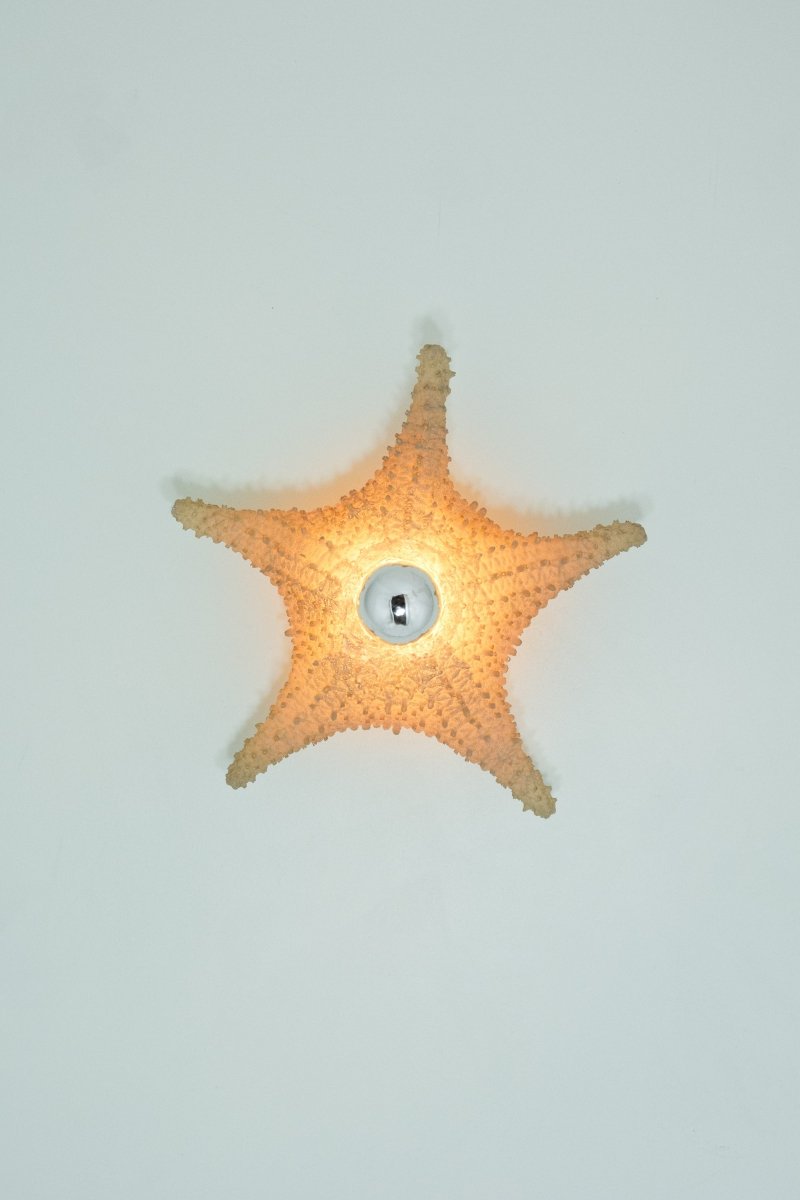 'Strella' Starfish Sconce in Desert - Tan Rubberized Resin — Model No. 047 - Tennant New York