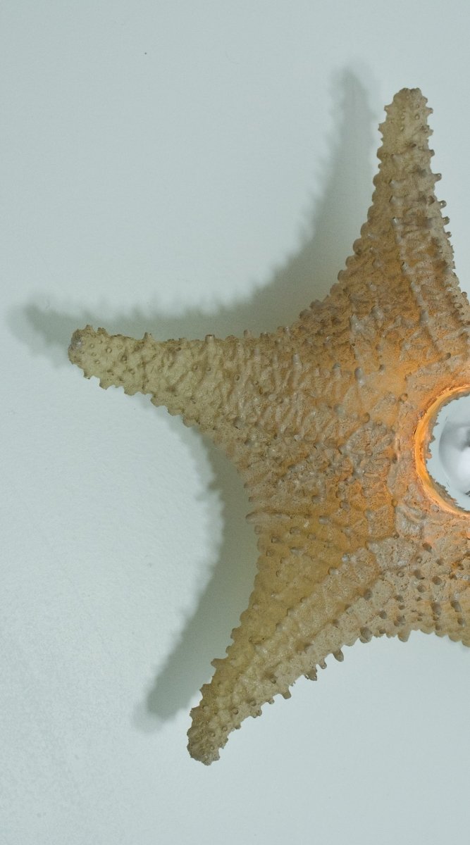 'Strella' Starfish Sconce in Desert - Tan Rubberized Resin — Model No. 047 - Tennant New York