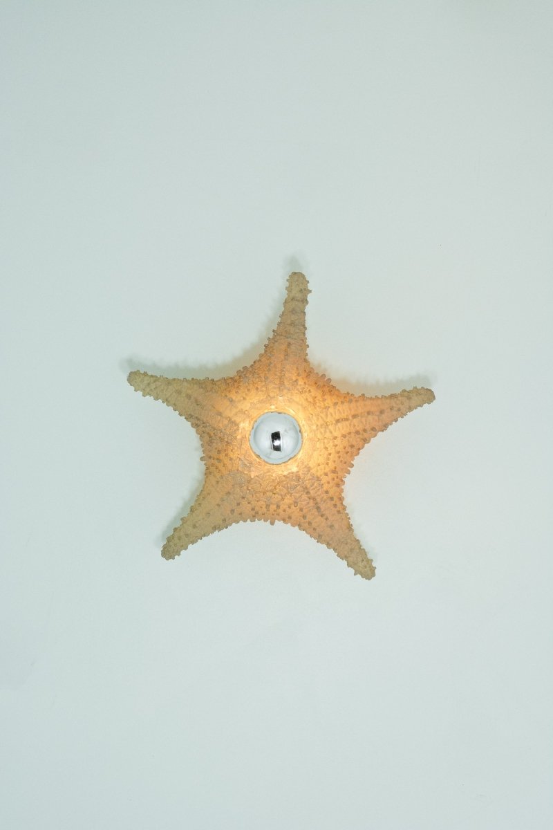 'Strella' Starfish Sconce in Desert - Tan Rubberized Resin — Model No. 047 - Tennant New York