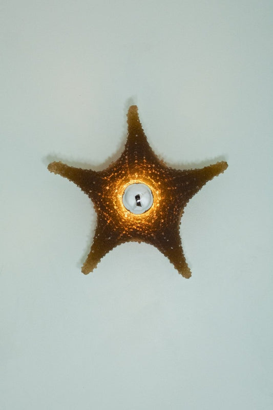 'Strella' Starfish Sconce in Khaki Brown Resin — Model No. 047 - Tennant New York