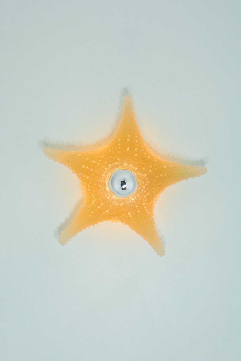 'Strella' Starfish Sconce in Light Brown Resin — Model No. 047 - Tennant New York