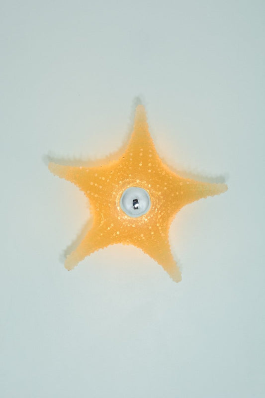 'Strella' Starfish Sconce in Light Brown Resin — Model No. 047 - Tennant New York