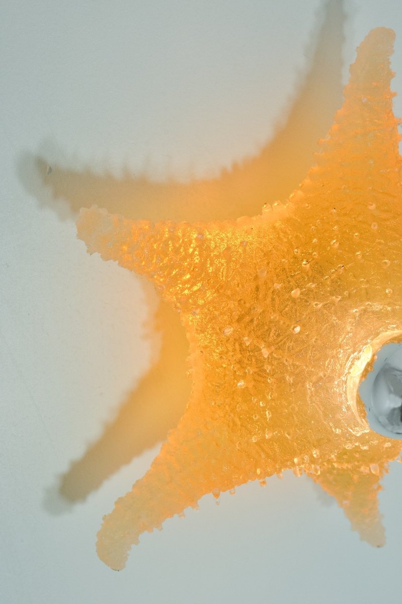 'Strella' Starfish Sconce in Light Brown Resin — Model No. 047 - Tennant New York