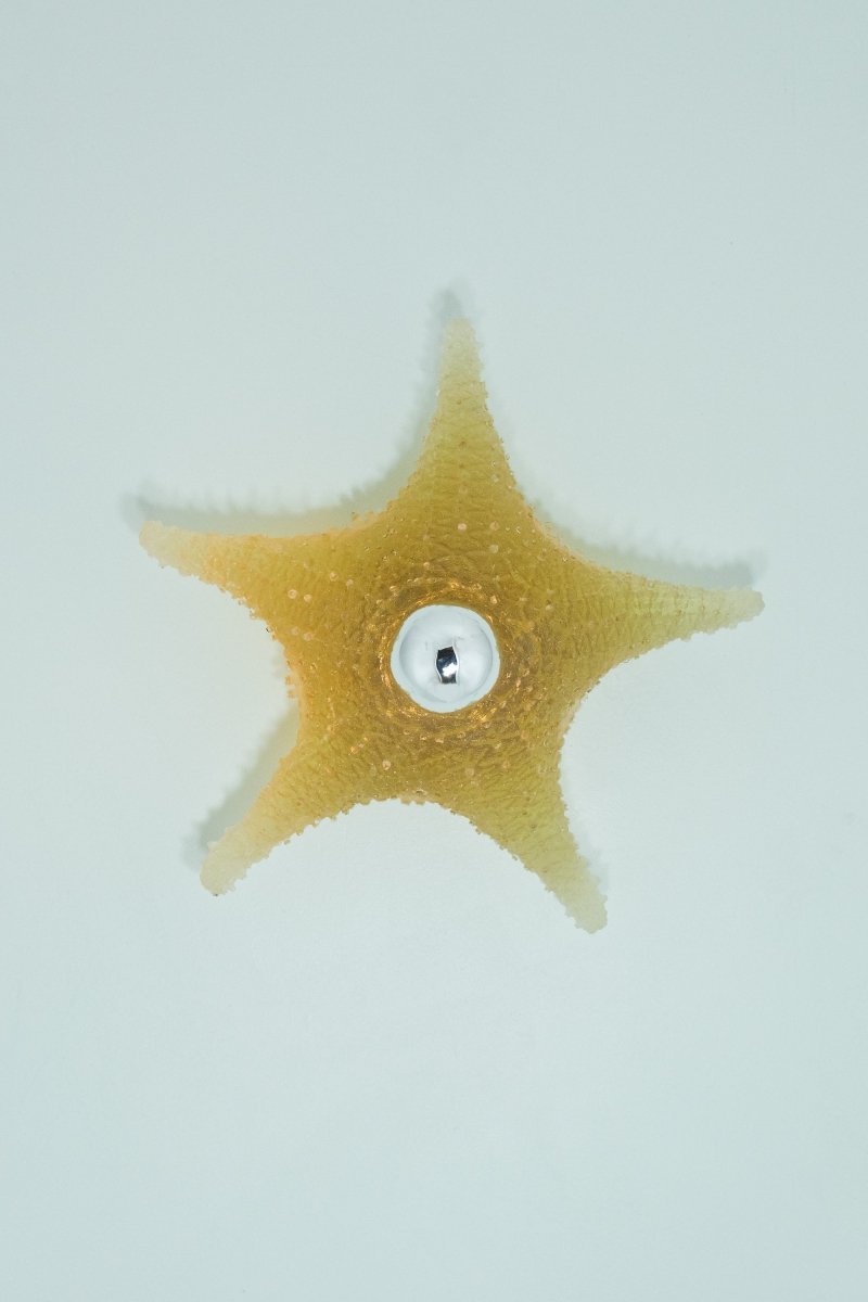 'Strella' Starfish Sconce in Light Brown Resin — Model No. 047 - Tennant New York