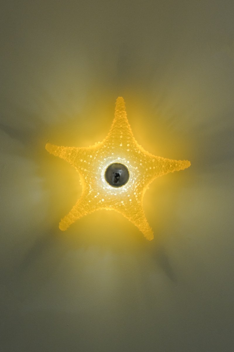 'Strella' Starfish Sconce in Light Brown Resin — Model No. 047 - Tennant New York