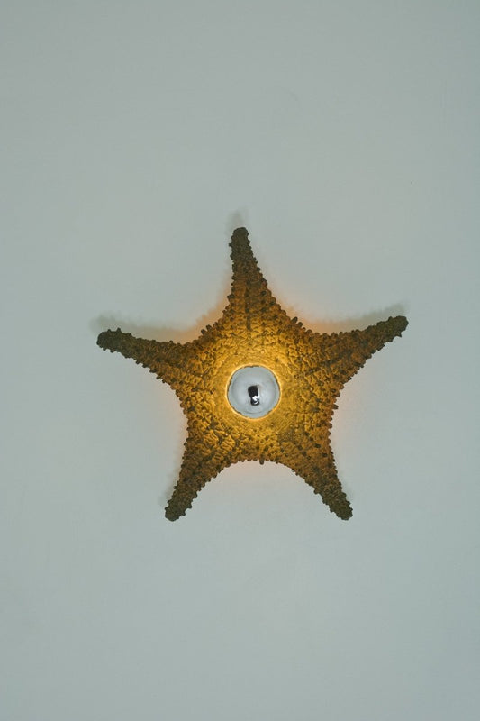'Strella' Starfish Sconce in Olive - Drab Rubberized Resin — Model No. 047 - Tennant New York