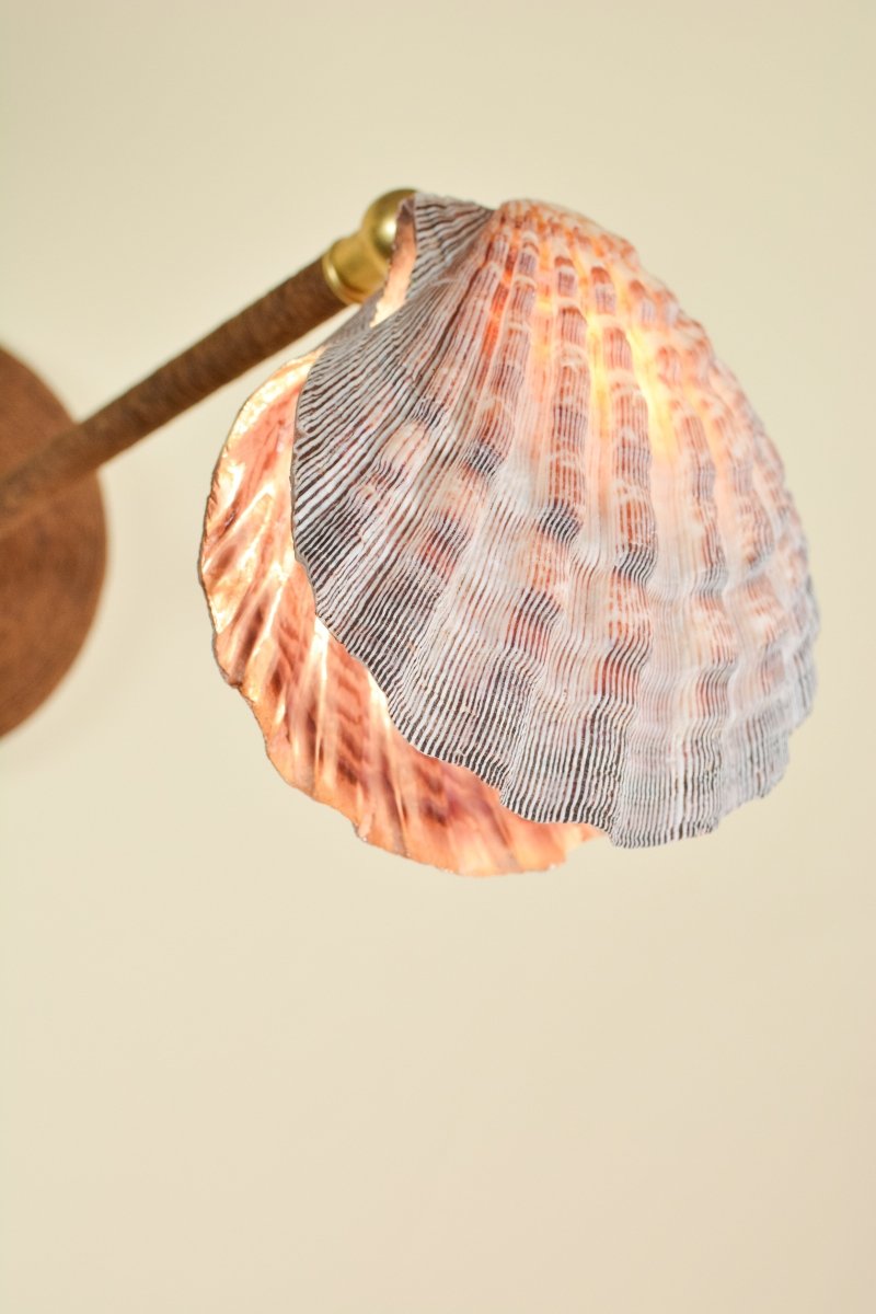 Wrapped Lavender Lion's Paw Sconce with Scallop Shell Shade — Model No. 024 - Tennant New York