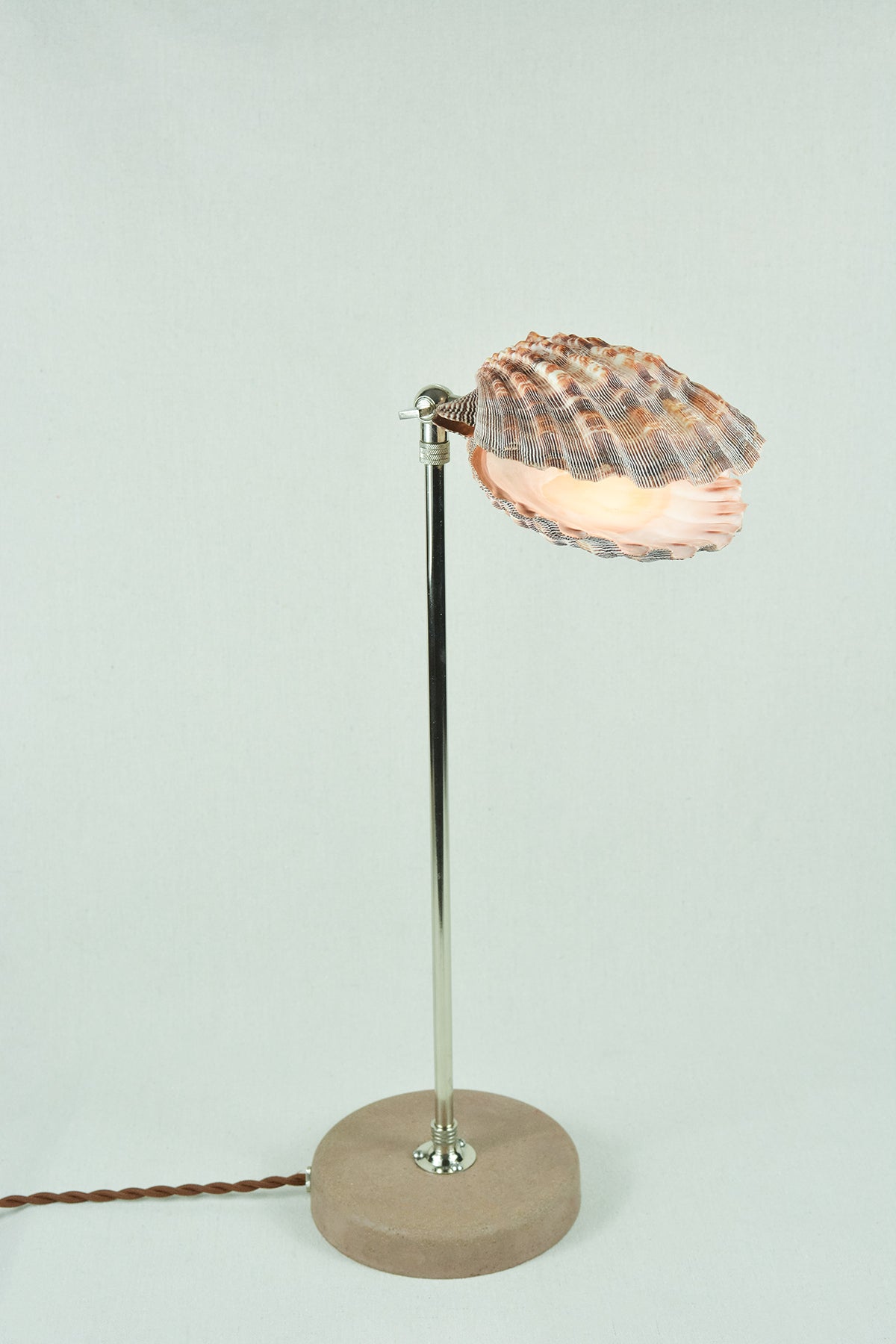 'Lavender Lion's Paw Lamp' with Natural Scallop Shell Shade — Model No. 019A - Tennant New York