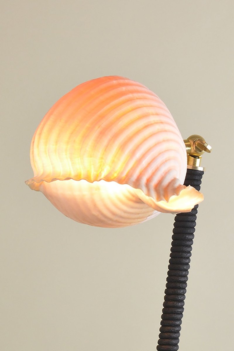 ‘L’Escargot Lamp’ in Coiled Leather with Natural Sea Snail Shade—Model No. 025 - Tennant New York