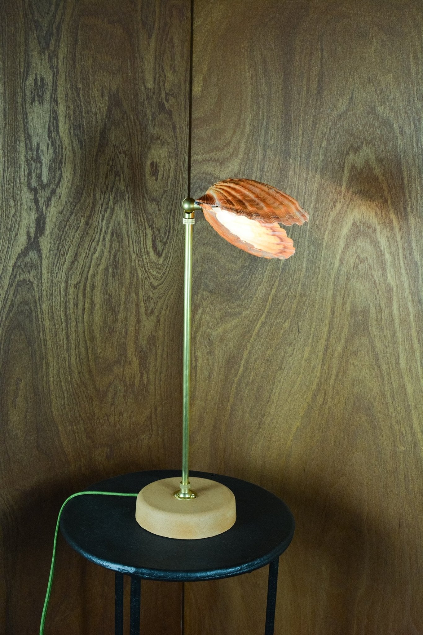 'Lion's Paw Lamp' with Natural Scallop Shell Shade — Model No. 019 - Tennant New York