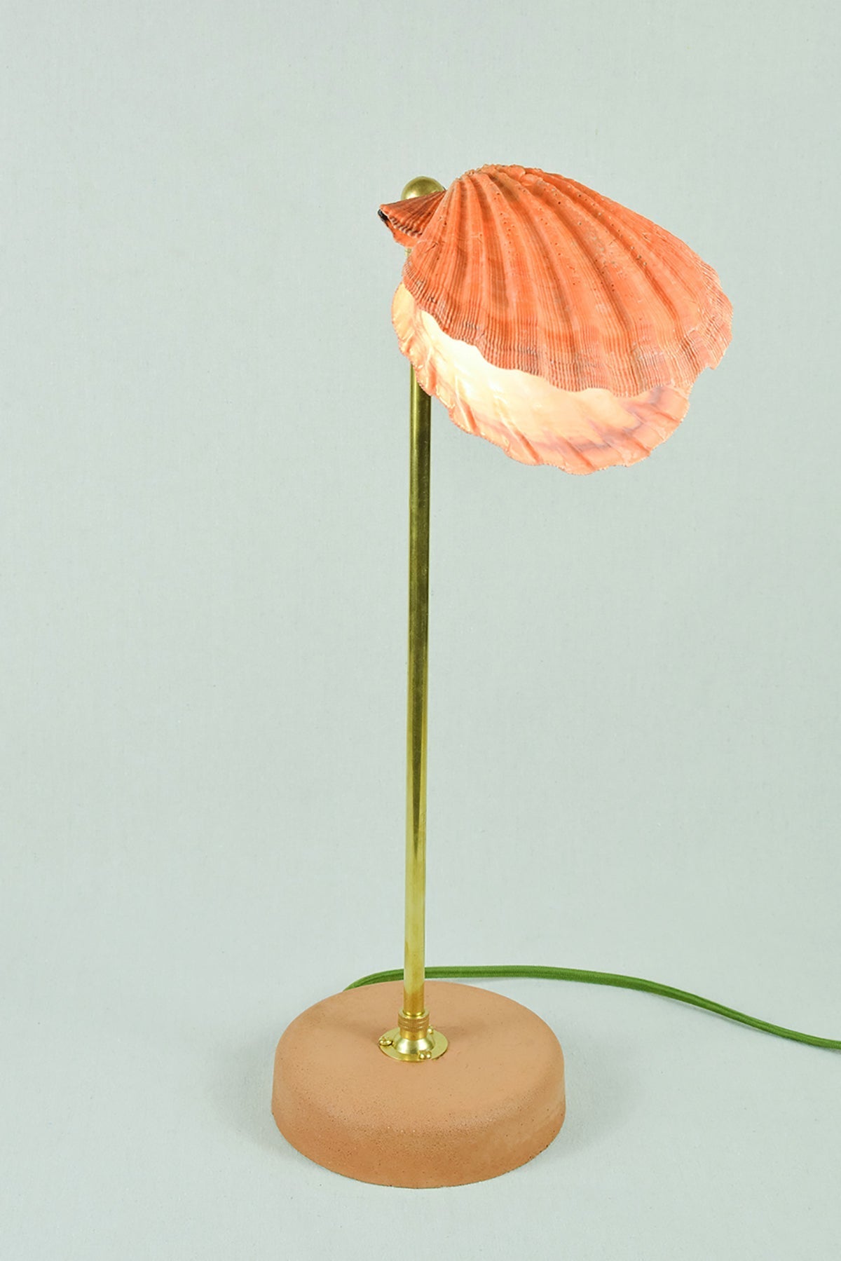 'Lion's Paw Lamp' with Natural Scallop Shell Shade — Model No. 019 - Tennant New York