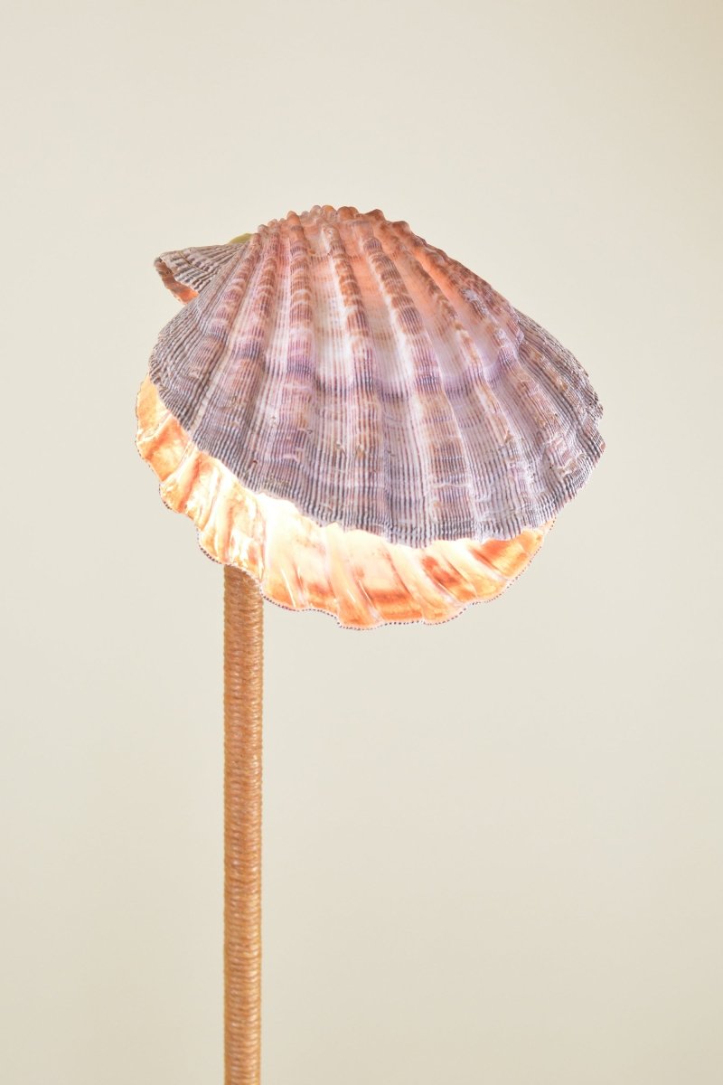 'Wrapped Lavender Lion's Paw Floor Lamp' with Natural Scallop Shell Shade—Model No. 023 - Tennant New York